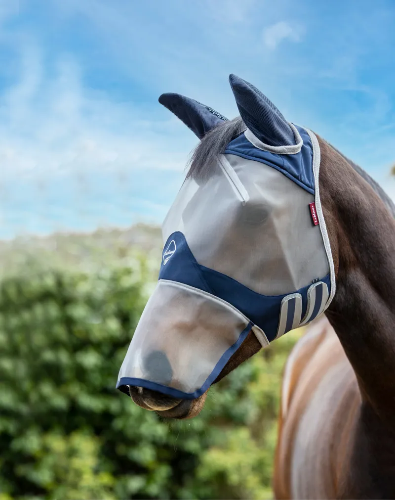 All-Around Fly Protection
