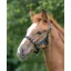 Shires ARMA Foal Headcollar Foal - Black