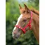 Shires ARMA Foal Headcollar Foal - Red