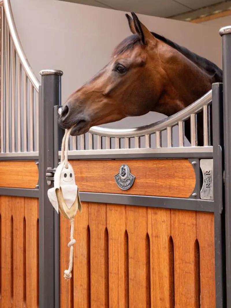 Stable & Care