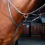 Shires Velociti Rapida Running Martingale Cob - Havana