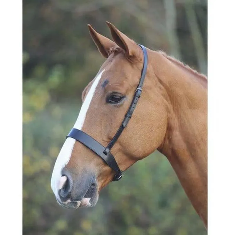Shires Velociti GARA Hunter Cavesson Noseband C - Black