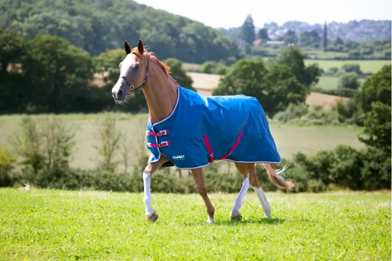 Shires Tempest Turnout Lite Rug with Neck - Blue