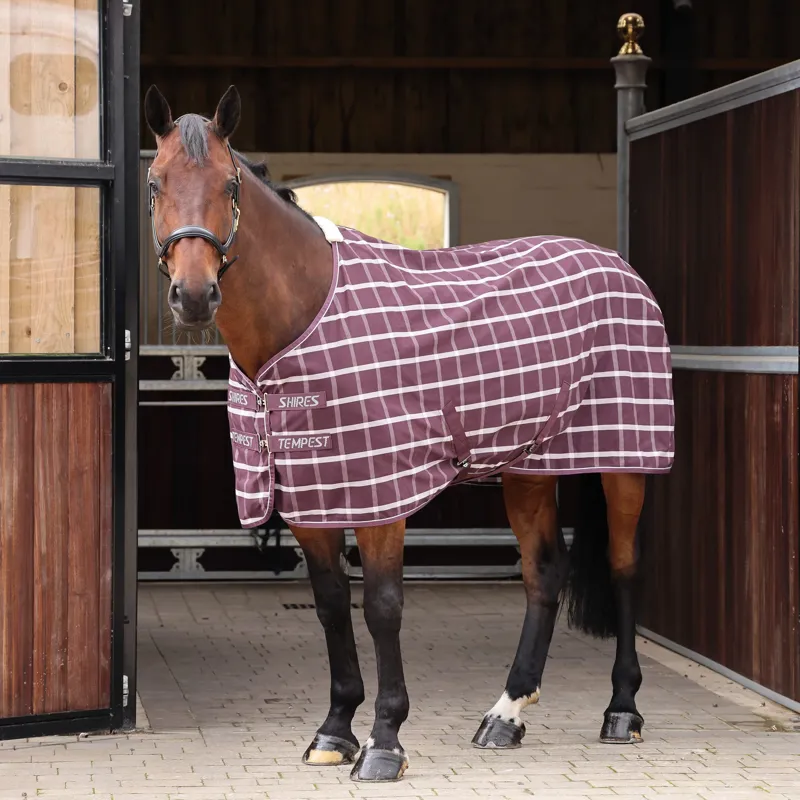 Shires Tempest Stable Sheet-7