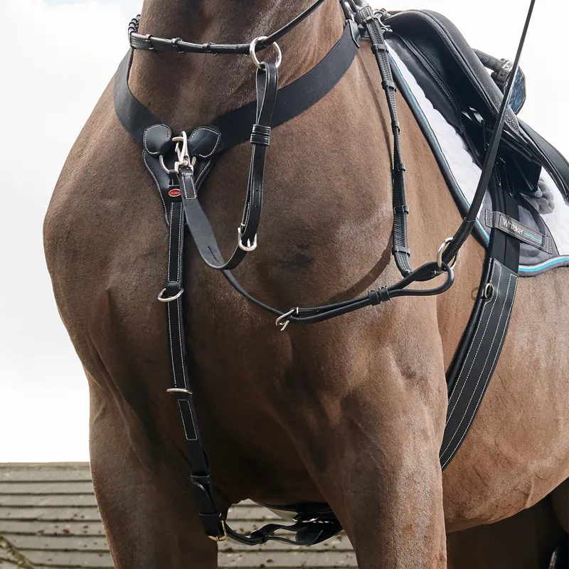John Whitaker Eastwood Elastic V-Check Breastplate - Black