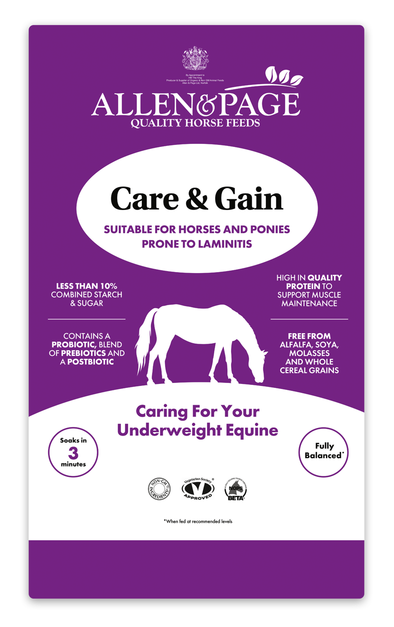 Allen and Paige Care and Gain