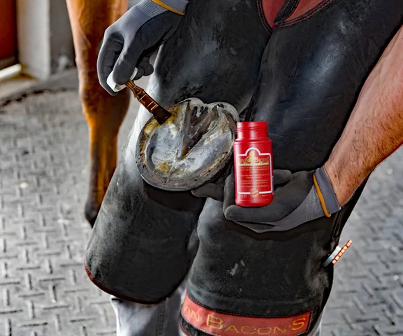 Kevin Bacon Hoof Solution 105ml-1