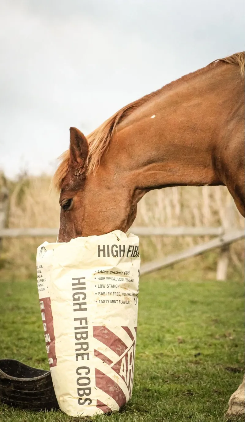 Argo High Fibre Cobs 20kg-1