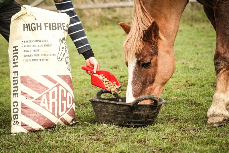 Argo High Fibre Cobs 20kg