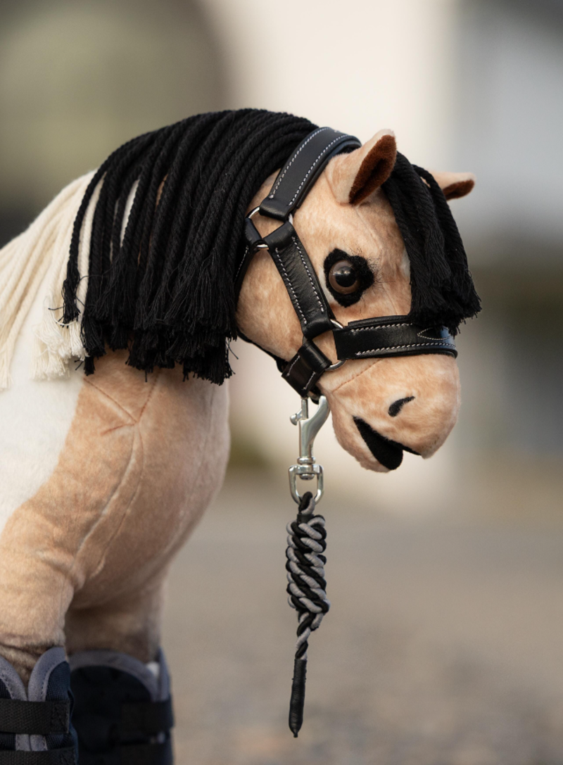 Lemieux Toy Pony Leather Headcollar And Leadrope Black-1