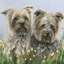 Bouncing Buddies Tess Izzy Dog Greetings Card