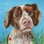 Bouncing Buddies Tilly Dog Greetings Card