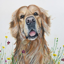 Bouncing Buddies Billie Dog Greetings Card