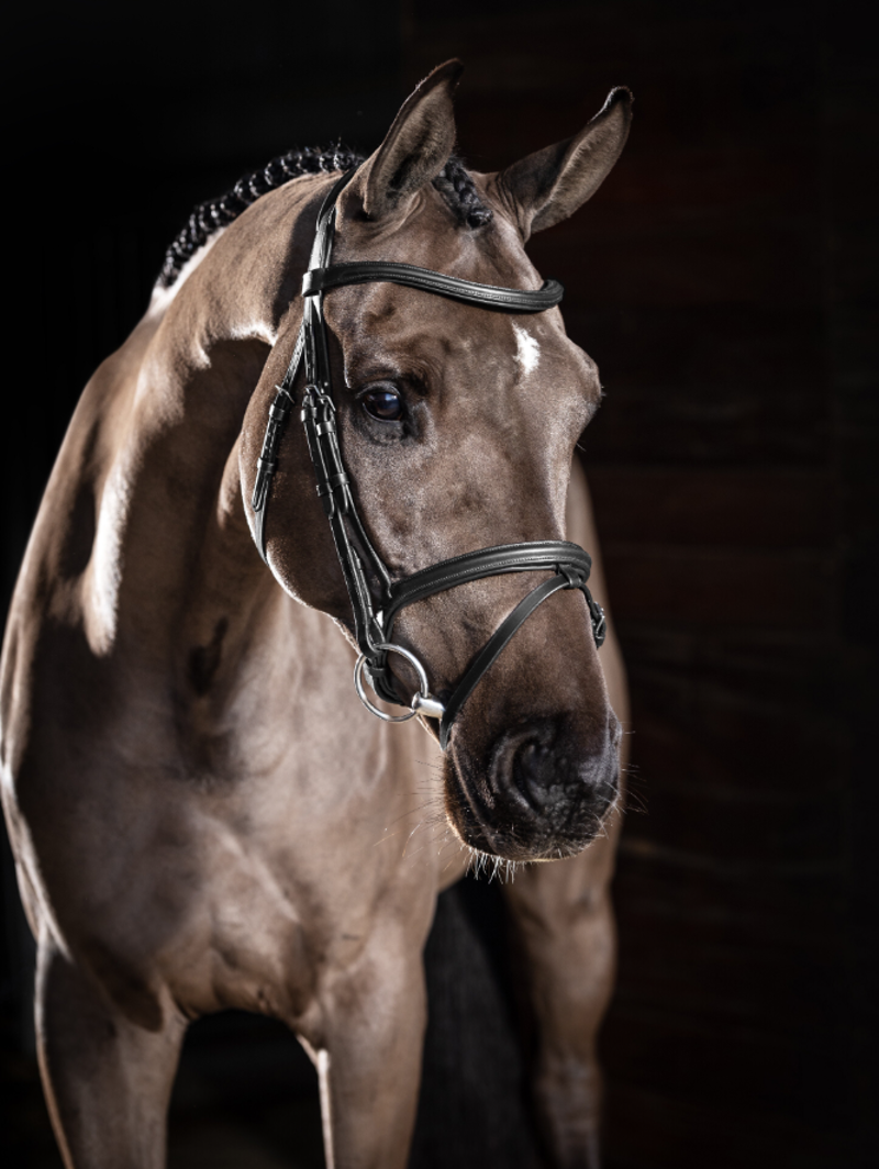 LeMieux Arika Classique Flash Bridle - Black-5