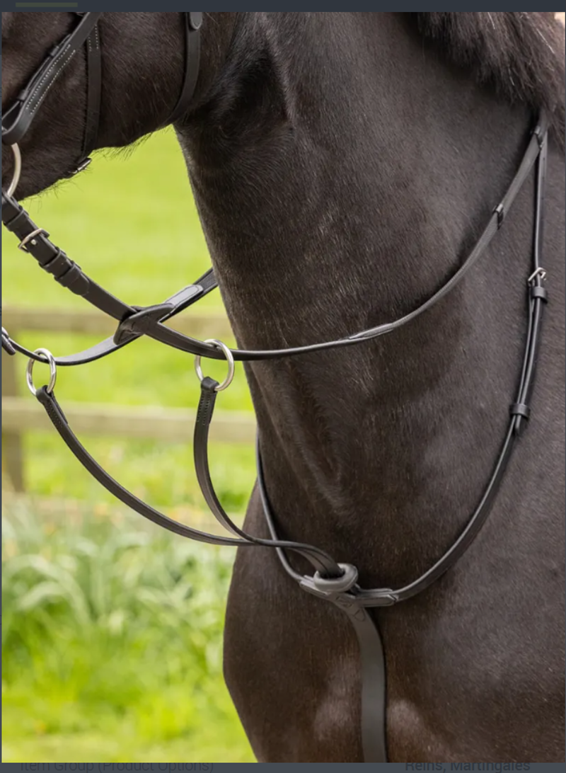 LeMieux Arika Running Martingale - Black - Cob-1