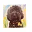 Bouncing Buddies Billie Dog Greetings Card