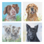 Bouncing Buddies Tess Izzy Dog Greetings Card