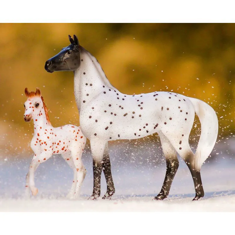 Breyer Freedom Spotted Wonders-2