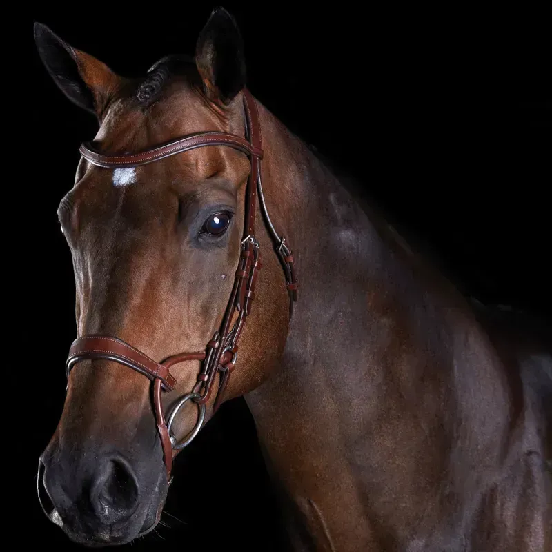 Collegiate Comfitec Training Bridle - Havana