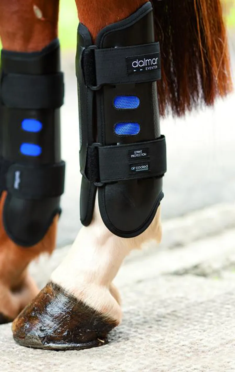 Dalmar Event Boots Hind - Black-1