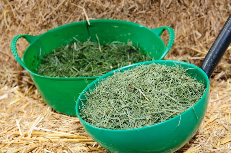 Emerald Green Feeds Grass-Tastic Chop 12.5kg-1