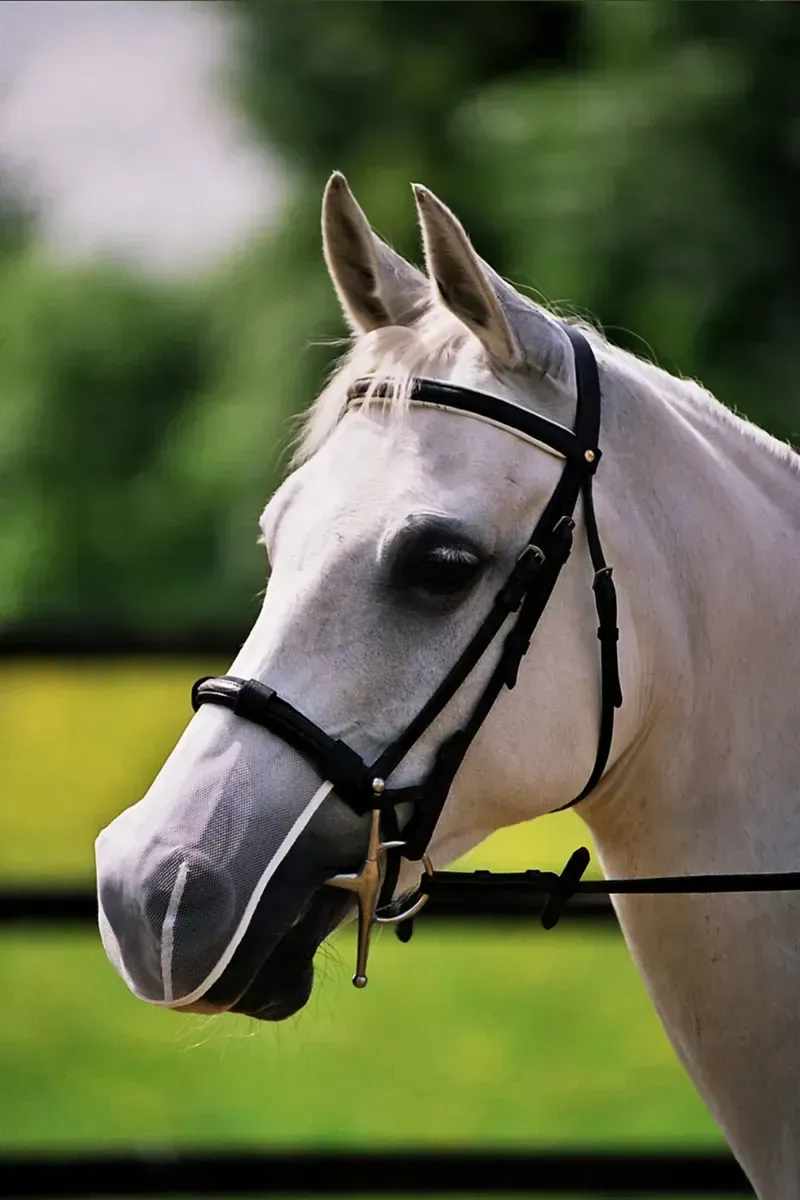Equilibrium Net Relief Muzzle Net Cob/Horse - White
