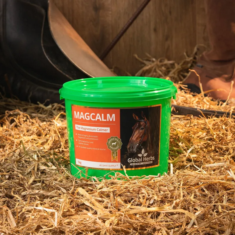 Global Herbs Magcalm - 1kg-2