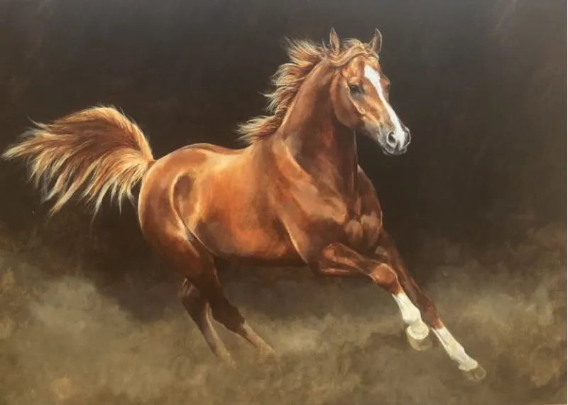Grays Caroline Cook Arabian Horses Card