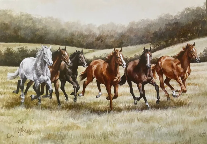 Grays Caroline Cook Galloping Free Card