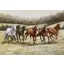 Grays Caroline Cook Galloping Free Card