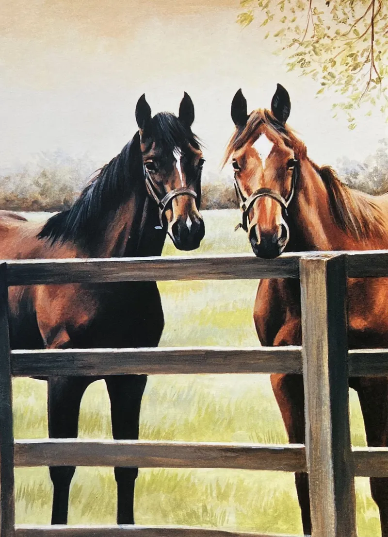 Grays Caroline Cook Good Companions Card