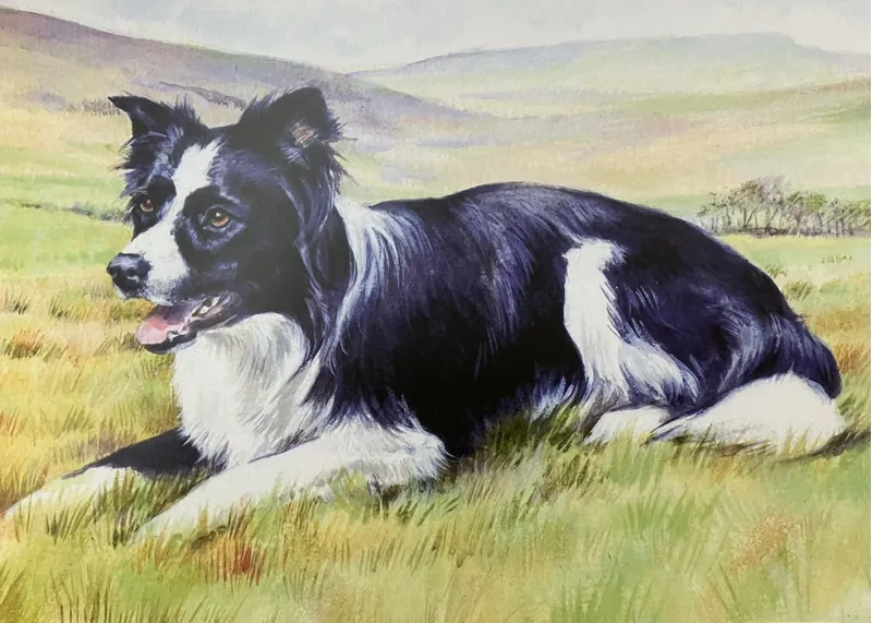 Grays Caroline Cook Waiting Card