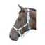 Hy Equestrian Deluxe Padded Head Collar - Bright Blue