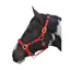 Hy Equestrian Deluxe Padded Head Collar - Red