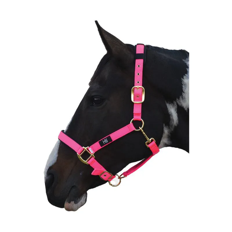 Hy Equestrian Deluxe Padded Head Collar - Pink