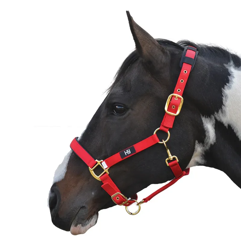Hy Equestrian Deluxe Padded Headcollar Cob - Red