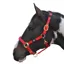 Hy Equestrian Deluxe Padded Headcollar Cob - Red