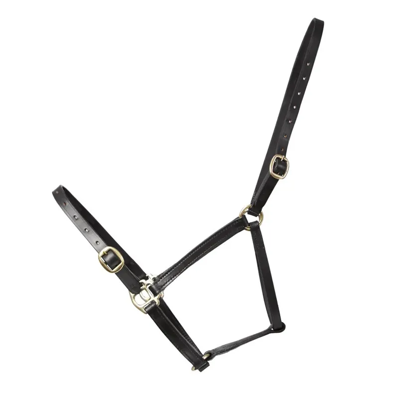 Hy Equestrian Leather Foal Headcollar - Brown