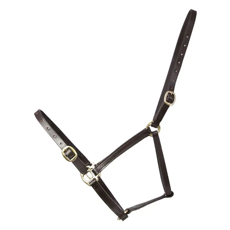 Hy Equestrian Leather Foal Headcollar - Brown