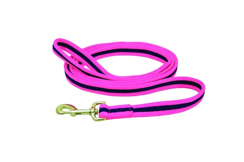 Hy Equestrian Soft Webbing Lead Rein Without Chain - Purple/Black