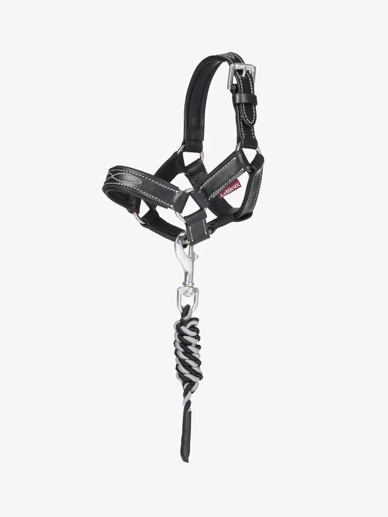 Lemieux Toy Pony Leather Headcollar And Leadrope Black