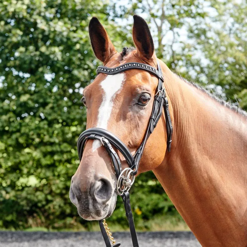 John Whitaker Lynton Flash Bridle With Two Browbands - Black-1