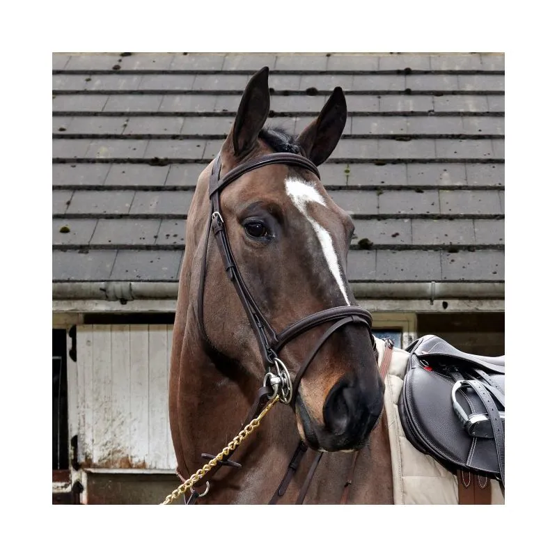 John Whitaker Ready To Ride Flash Bridle Leather Full - Black