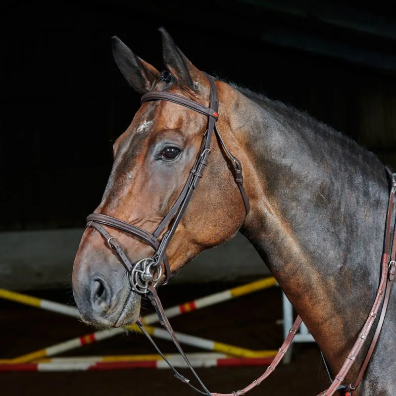 John Whitaker Ready To Ride Flash Bridle Leather Full - Black-1