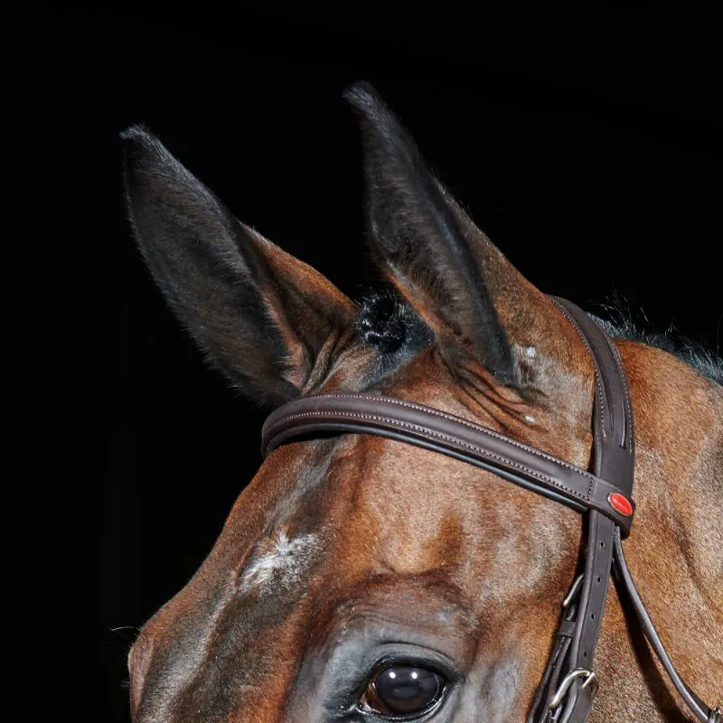 John Whitaker Ready To Ride Flash Bridle Leather Full - Black-2