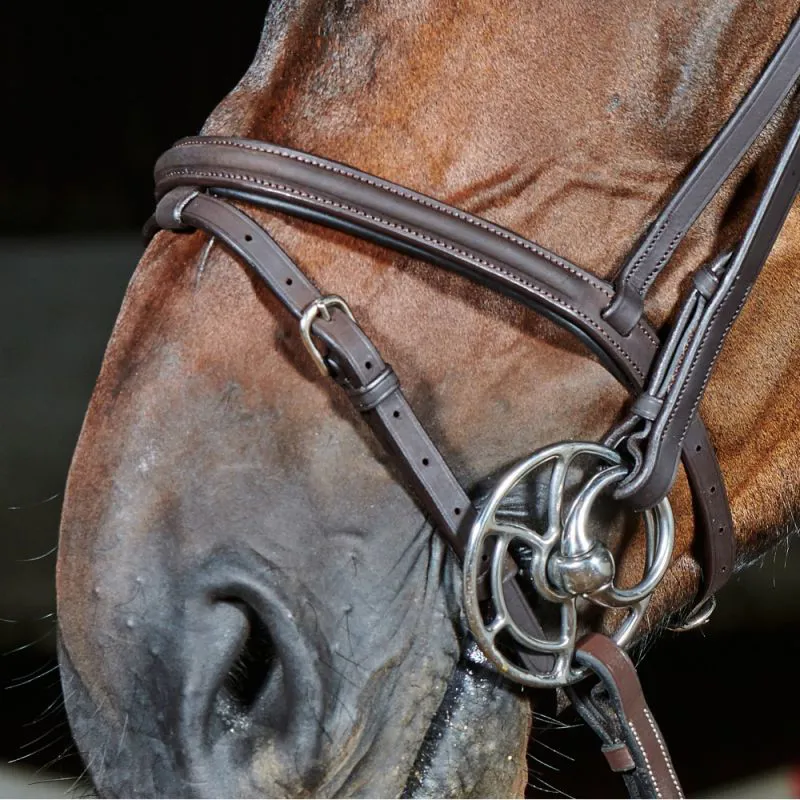 John Whitaker Ready To Ride Flash Bridle Leather Full - Black-3