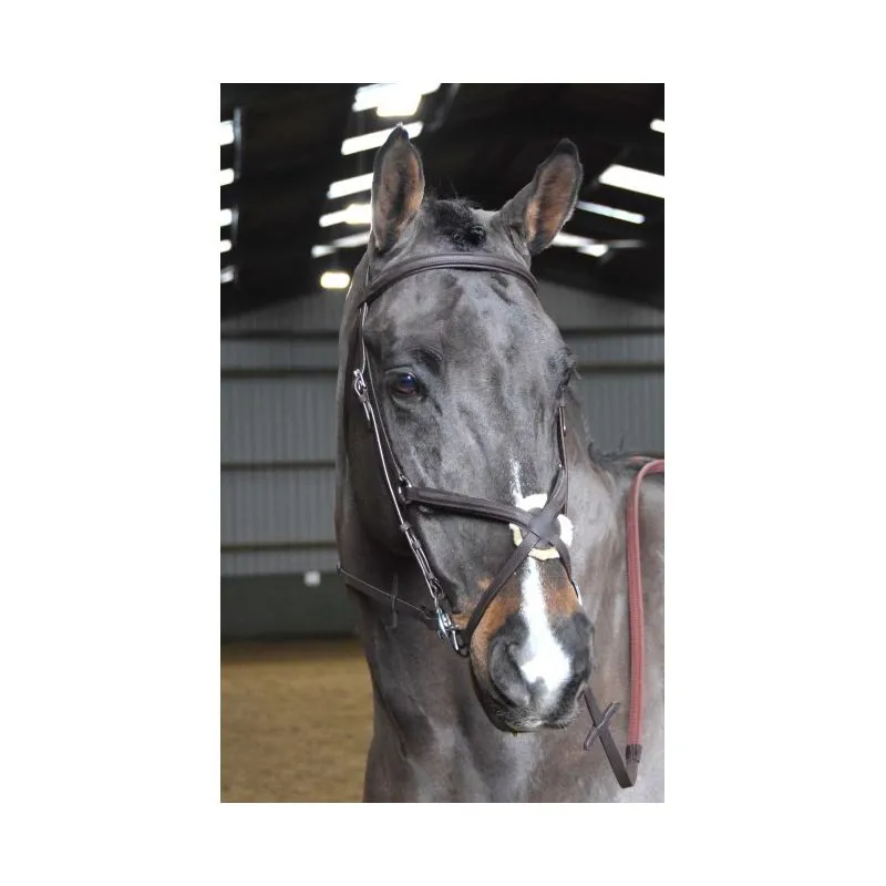 John Whitaker Ready To Ride Mexican Bridle - Black-1