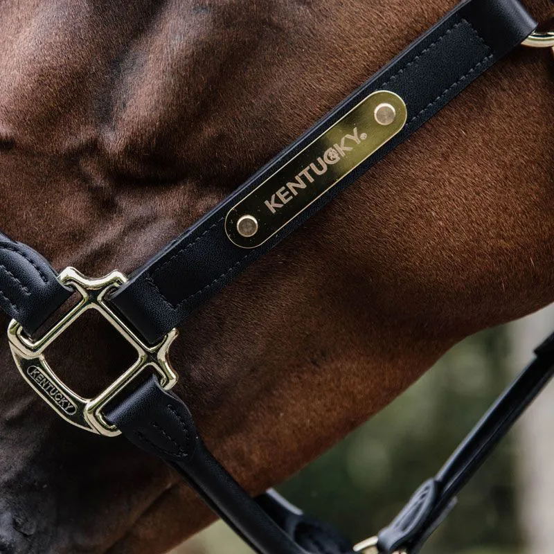 Kentucky Anatomic Leather Head Collar - Black-1