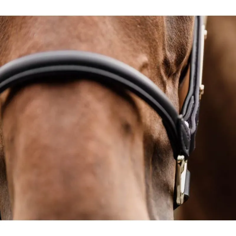 Kentucky Anatomic Leather Head Collar - Black-2