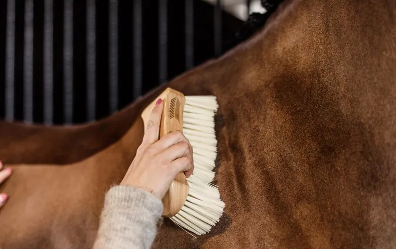 Kentucky Grooming Deluxe Body Brush Middle Soft - Brown-5